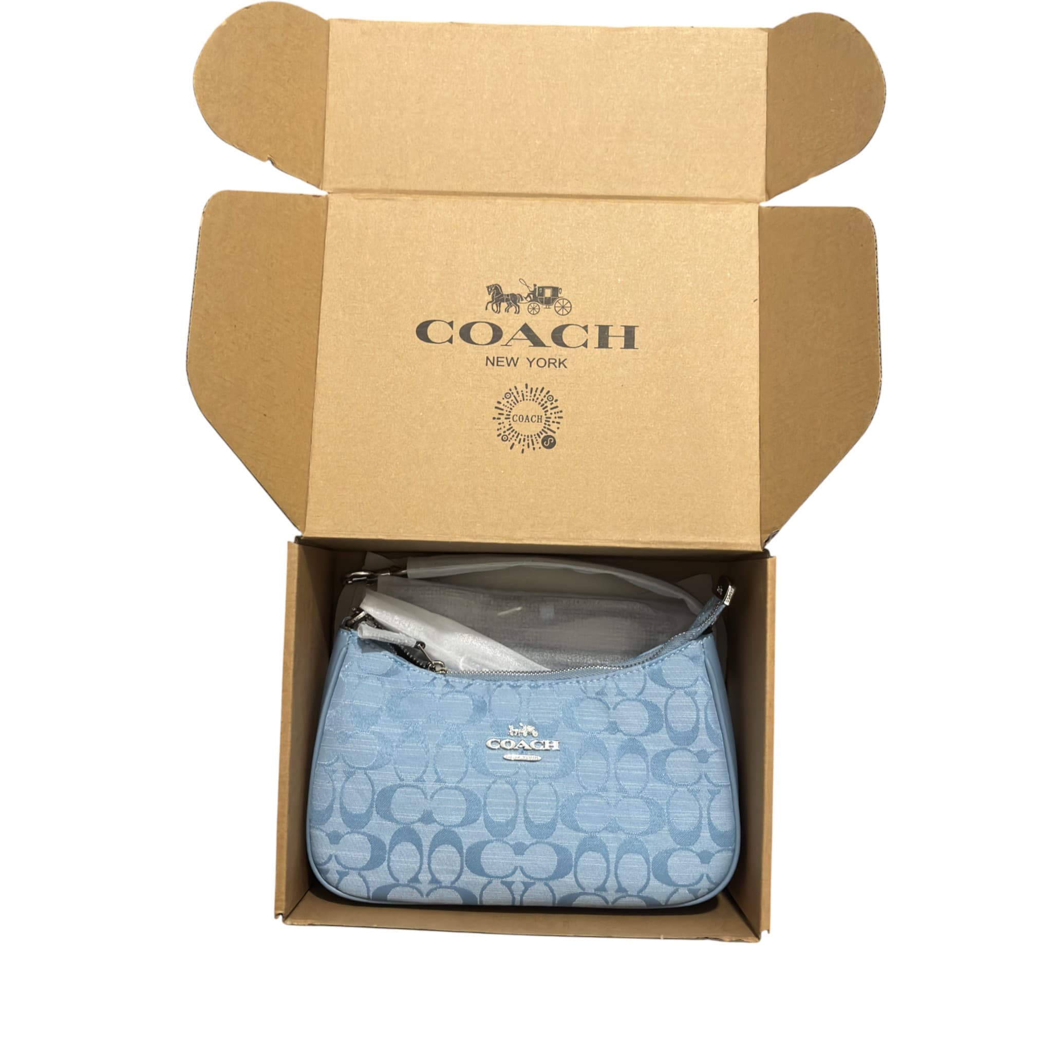 Coach Teri Baby Blue Signature Canvas Bag