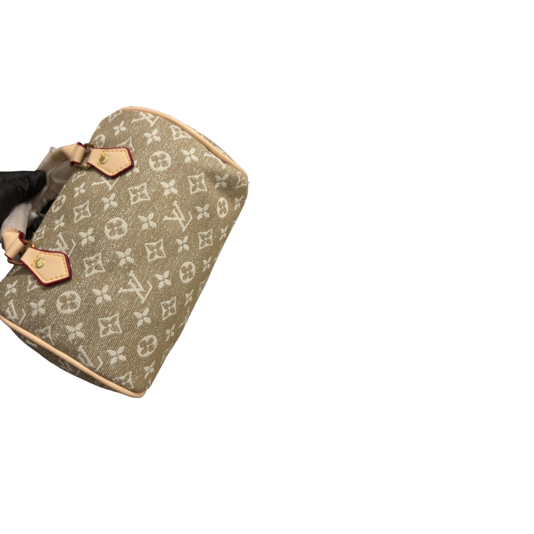 LV Caramel MIN Denim Speedy Pillow bag LIMITED
